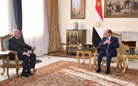 الرئيس السيسى يؤكد أهمية تعزيز الحوار بين مصر والجزائر لحل الأزمة الليبية