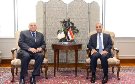 وزير الخارجية يؤكد العمق الاستراتيجي والتميز في العلاقات المصرية الجزائرية