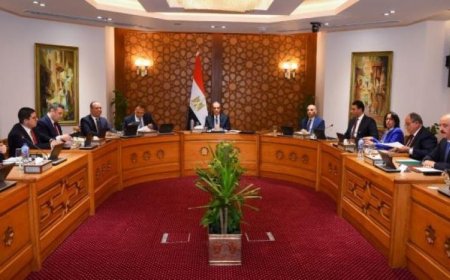 مصر وتونس والجزائر تؤكد أن الحل السياسي هو المفتاح لإنهاء الأزمة الليبية