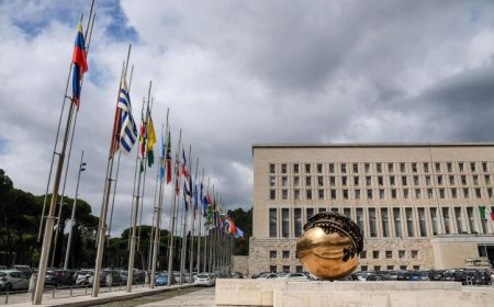 إيطاليا تؤيد قرار الأمم المتحدة حول الأوضاع الصحية في الأراضي الفلسطينية المحتلة