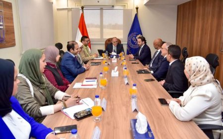 الغمراوي يتشاور مع مسؤولي شركة أبوت لتعزيز الاستثمار في القطاع الدوائي وتوطين الصناعات الحيوية