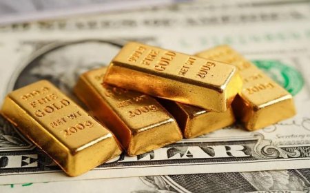 تراجع أسعار الذهب بفعل قوة الدولار وتزايد التوقعات بارتفاع الفائدة الأمريكية