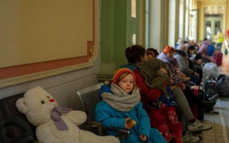 مبعوثة مجلس أوروبا تدعو الشركاء لزيادة الجهود لإعادة أطفال أوكرانيا إلى وطنهم