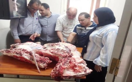ضبط طن من اللحوم والدواجن والأسماك الفاسدة والمجهولة المصدر في محافظة الغربية