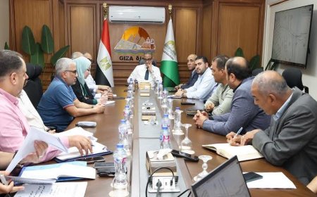 محافظ الجيزة يواصل متابعة تطوير منطقة محور عمرو بن العاص في كفر طهرمس