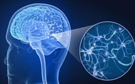 اكتشافات جديدة تكشف عن مجموعات لمرض باركنسون العصبي