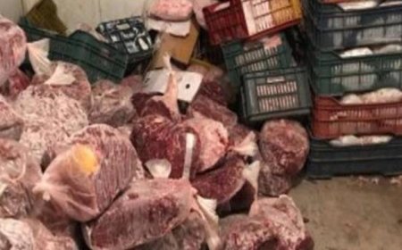 ضبط كميات هائلة من اللحوم والدواجن الممنوعة في شمال سيناء