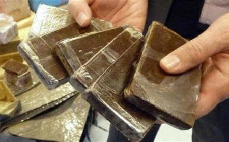 ضبط 1.5 طن من المخدرات في الإسماعيلية بقيمة 95 مليون جنيه