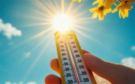 الأرصاد تحذر من طقس ربيعي في الصباح مع أمطار ببعض المناطق والعظمى في القاهرة تصل إلى 31 درجة