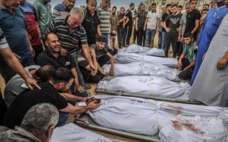 فلسطين تشهد ارتفاعاً مفجعاً في حصيلة ضحايا العدوان الإسرائيلي على غزة ليصل العدد إلى 72783 شهيداً