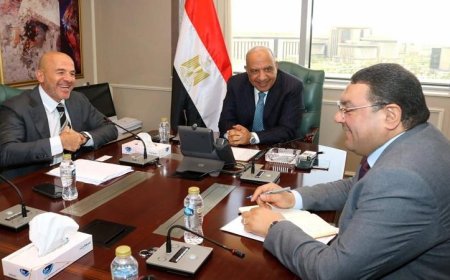 وزير الكهرباء يؤكد دعم توطين صناعة مراكز البيانات في مصر