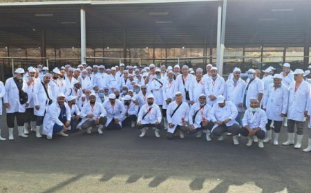 استعدادات البعثة المصرية للإشراف على الهدي والأضاحي بالسعودية تنطلق تحت إشراف وزارة الزراعة