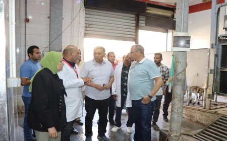 محافظ القليوبية يقوم بجولة تفقدية في مجزر حي غرب شبرا الخيمة لمتابعة الأعمال