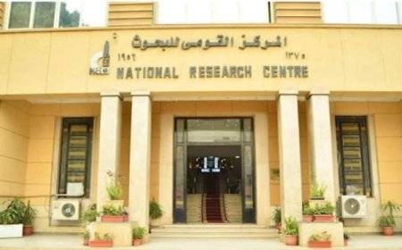 نصائح أستاذة بالقومي للبحوث لاتباع نظام غذائي صحي ومتوازن خلال عيد الأضحى