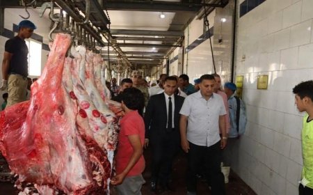 محافظ القليوبية يقوم بجولة تفقدية لمجزرة شبرا شهاب في القناطر الخيرية