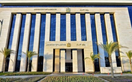 وزارة العمل تكشف عن 185 وظيفة شاغرة في شركة نيرك ببورسعيد