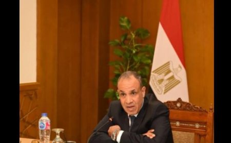 وزير الخارجية يؤكد أن العلاقات بين مصر والدول الإفريقية تعزز الروابط الحضارية والإنسانية