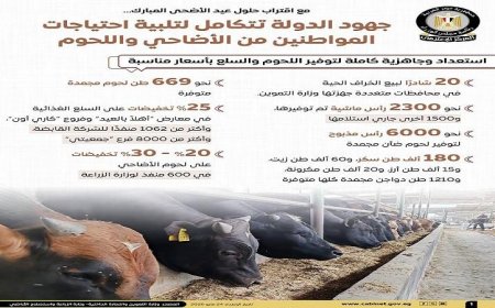 الوزراء يعلنون عن جهود شاملة لتلبية احتياجات المواطنين من الأضاحي واللحوم خلال العيد