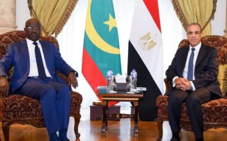 وزير الخارجية يناقش مع نظيره الموريتاني تعزيز التعاون الثنائي بين البلدين