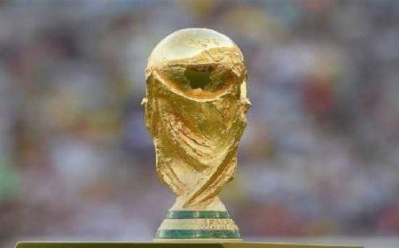 تاريخ كأس العالم من 13 منتخبًا إلى 48 فريقًا رحلة البطولة الكبرى عبر الزمن