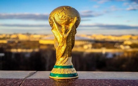 تاريخ كأس العالم في سطور: رحلة مثيرة عبر الأجيال