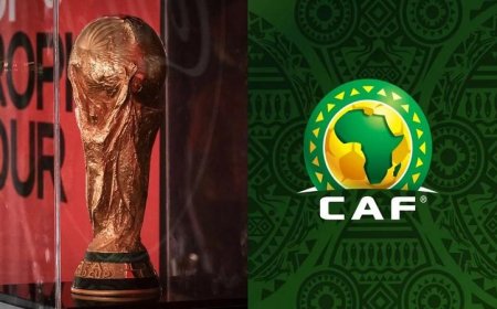 أفريقيا في كأس العالم من هدف عبدالرحمن إلى حلم مونديال 2026 رحلة رائعة للقارة السمراء