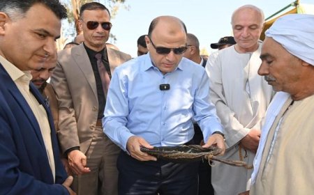 محافظ الغربية يطلق مليون ياردة من أسماك البلطي النيلي في ميت بدر حلاوة