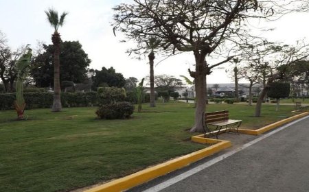 محافظ القاهرة يوقف إجازات عمال النظافة والحدائق لضمان تحسين الخدمات