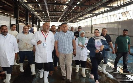 محافظ القليوبية يقوم بجولة تفقدية في مجازر الخانكة والقلج استعدادًا لعيد الأضحى المبارك