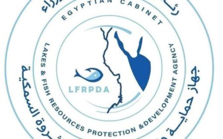 تنمية البحيرات والثروة السمكية تطلق مليون وحدة من زريعة البلطي النيلي في دمياط لتعزيز الثروة السمكية
