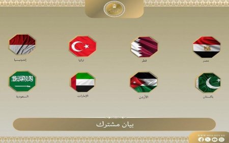 مصر و7 دول تندد بشراسة بأفعال بن غفير ضد المشاركين في أسطول غزة
