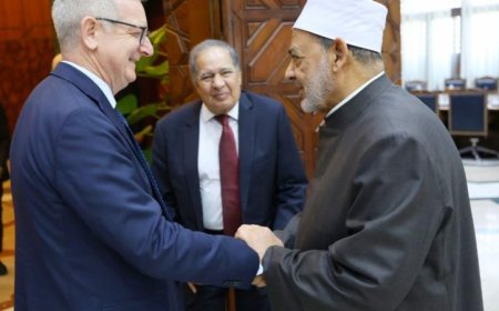 شيخ الأزهر يثني على أيرلندا لدعمها الشجاع للقضية الفلسطينية