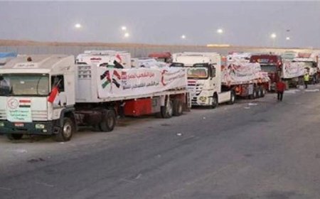 قافلة زاد العزة 203 تصل إلى قطاع غزة لدعم الفلسطينيين