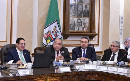 جامعة القاهرة تفتح باب المشاركة في مسابقة المبادرة الوطنية للمشروعات الخضراء الذكية