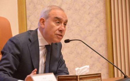 هيئة الاستعلامات تعلن عن شراكة متناغمة ومستدامة بين مصر والإمارات