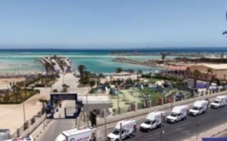 مستقبل وطن يطلق فعالية لتوزيع السلع الغذائية واللحوم على الأسر المحتاجة