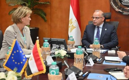 وزير الاستثمار يلتقي سفيرة الاتحاد الأوروبي لتعزيز آفاق الشراكة الاقتصادية