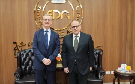 رئيس هيئة الدواء يلتقي سفير أيرلندا في القاهرة لتعزيز أوجه التعاون المشترك
