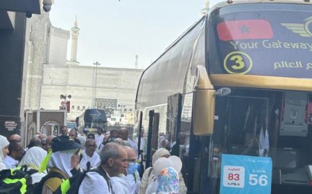 تدفق حافلات السياحة لنقل حجاج الشركات إلى صعيد عرفات يواصل زخمه بصور مبهرة