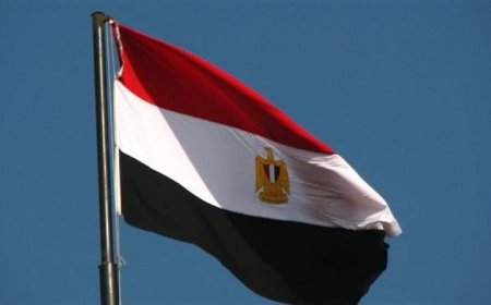 احتفالاً بيوم أفريقيا الخارجية المصرية تؤكد قوة العلاقات بين مصر وأفريقيا