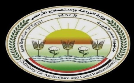 الزراعة تنطلق نحو عيد الأضحى بتجهيز 497 مجزرا مجانيا وتطوير الحدائق وتوفير السلع في الأسواق