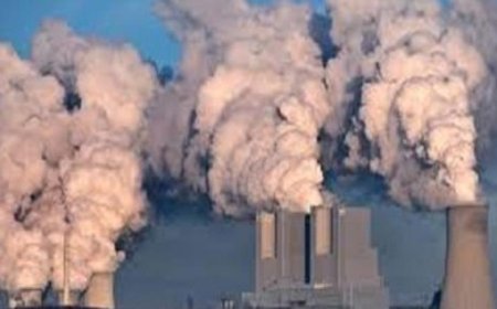 ألمانيا تواجه أزمة استنزاف مواردها الطبيعية