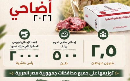 صندوق تحيا مصر يطلق مبادرة أضاحي لدعم 2.5 مليون مواطن في إطار جهود الإغاثة الاجتماعية