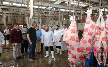 محافظ الجيزة يؤكد استعداد 23 مجزرًا لاستقبال الأضاحي خلال عيد الأضحى
