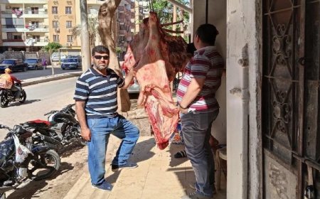 بني سويف تتيح المجازر لذبح أضاحي العيد وتمنع الذبح في الشوارع وتطلق حملات تفتيش على الأسواق