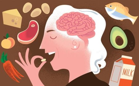تحذيرات العلماء تكشف أن مستويات فيتامين ب 12 الطبيعية قد لا توفر حماية كافية للدماغ