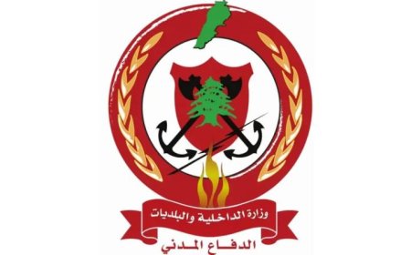 الدفاع المدني اللبناني يحقق إنجازا في إجلاء 29 مواطنا من الدوير والنبطية