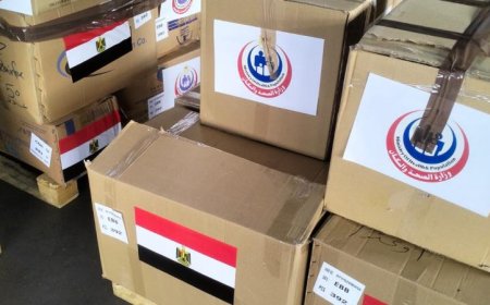 مصر تقدم شحنة أدوية للكونغو الديمقراطية وأوغندا لمكافحة فيروس إيبولا