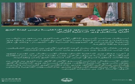 وزير الداخلية السعودي يناقش تعزيز التعاون الأمني مع نظيره اللبناني