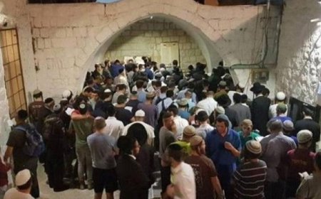 مستوطنون يعتدون على مواقع دينية إسلامية في عورتا بجنوب شرق نابلس